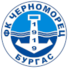 布尔加斯1919logo
