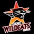 珀斯野猫logo